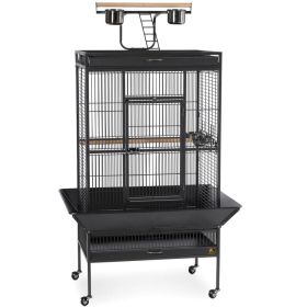 Large Select Wrought Iron Play Top Bird Cage (Option: Pewter)