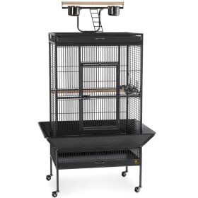 Large Select Wrought Iron Play Top Bird Cage (Option: Chalk White)