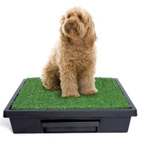 PetSafe Pet Loo Dog Potty Training System (Option: Large  PWM0014499)